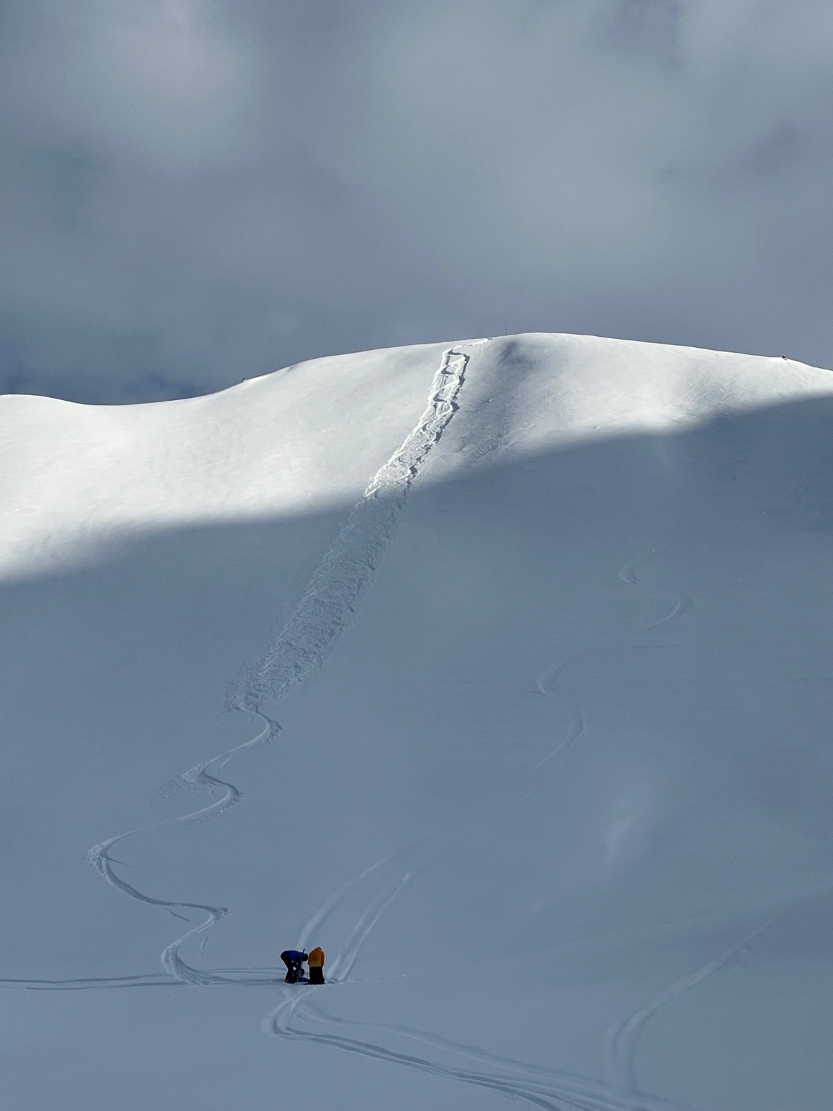  Les jaloux décident de remonter… 😜