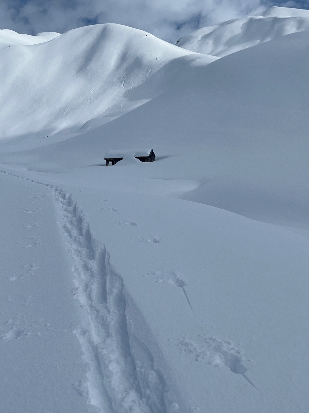 Traces de canard sauvage et objectif ensoleillé.  