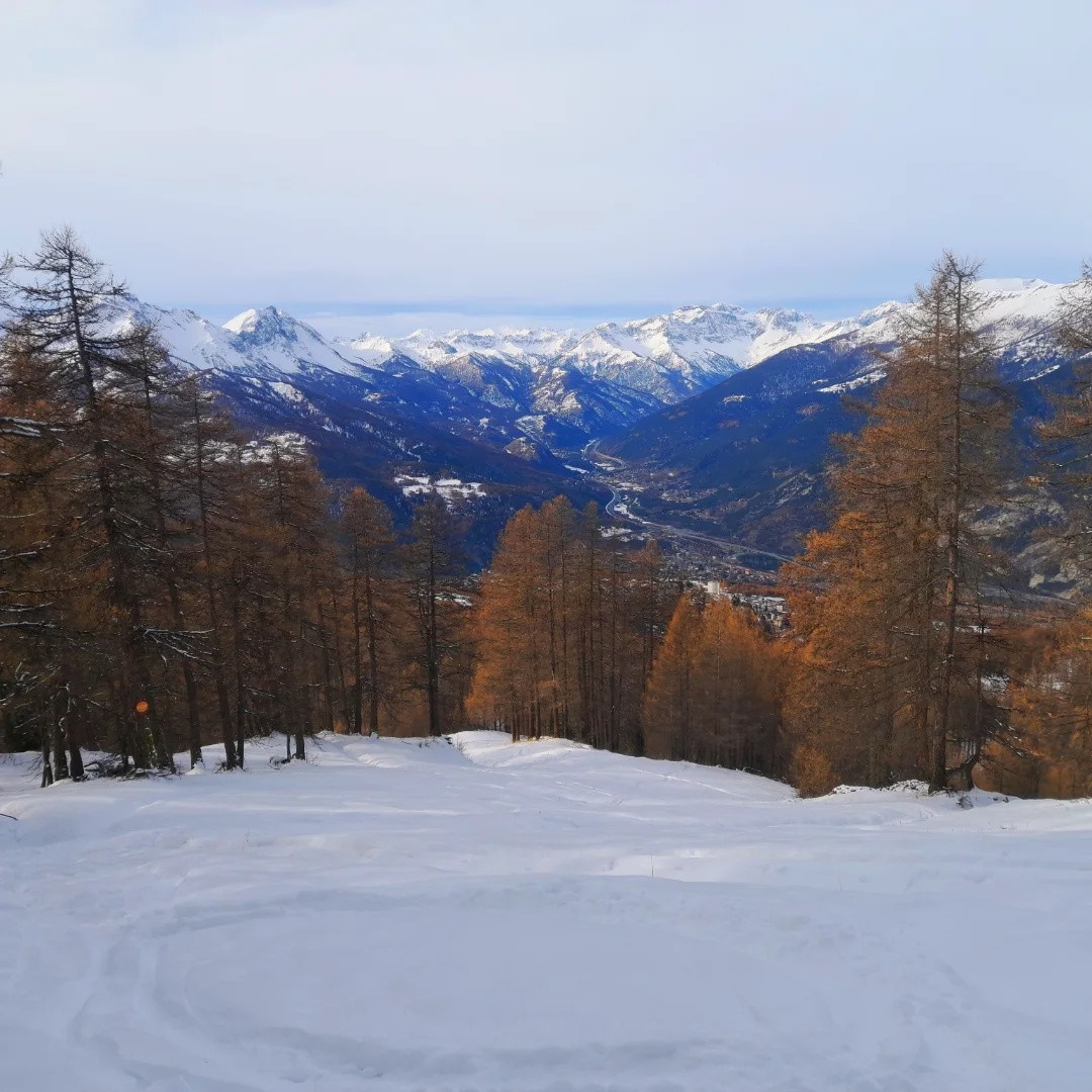 #15 Descente dans les mélèzes Descente dans les mélèzes