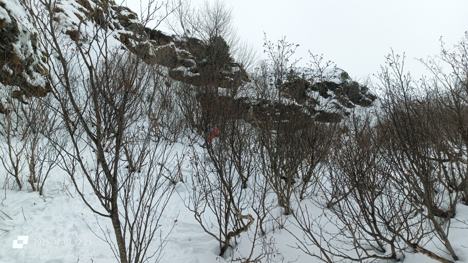 #28 Des fois, le ski ressemble à ça Des fois, le ski ressemble à ça