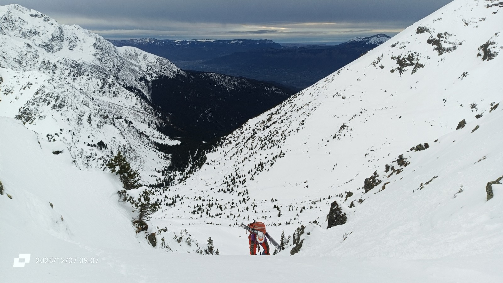 #7 Glad Glad' arrive