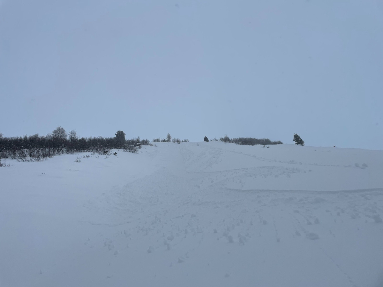 #2 La coulée La coulée