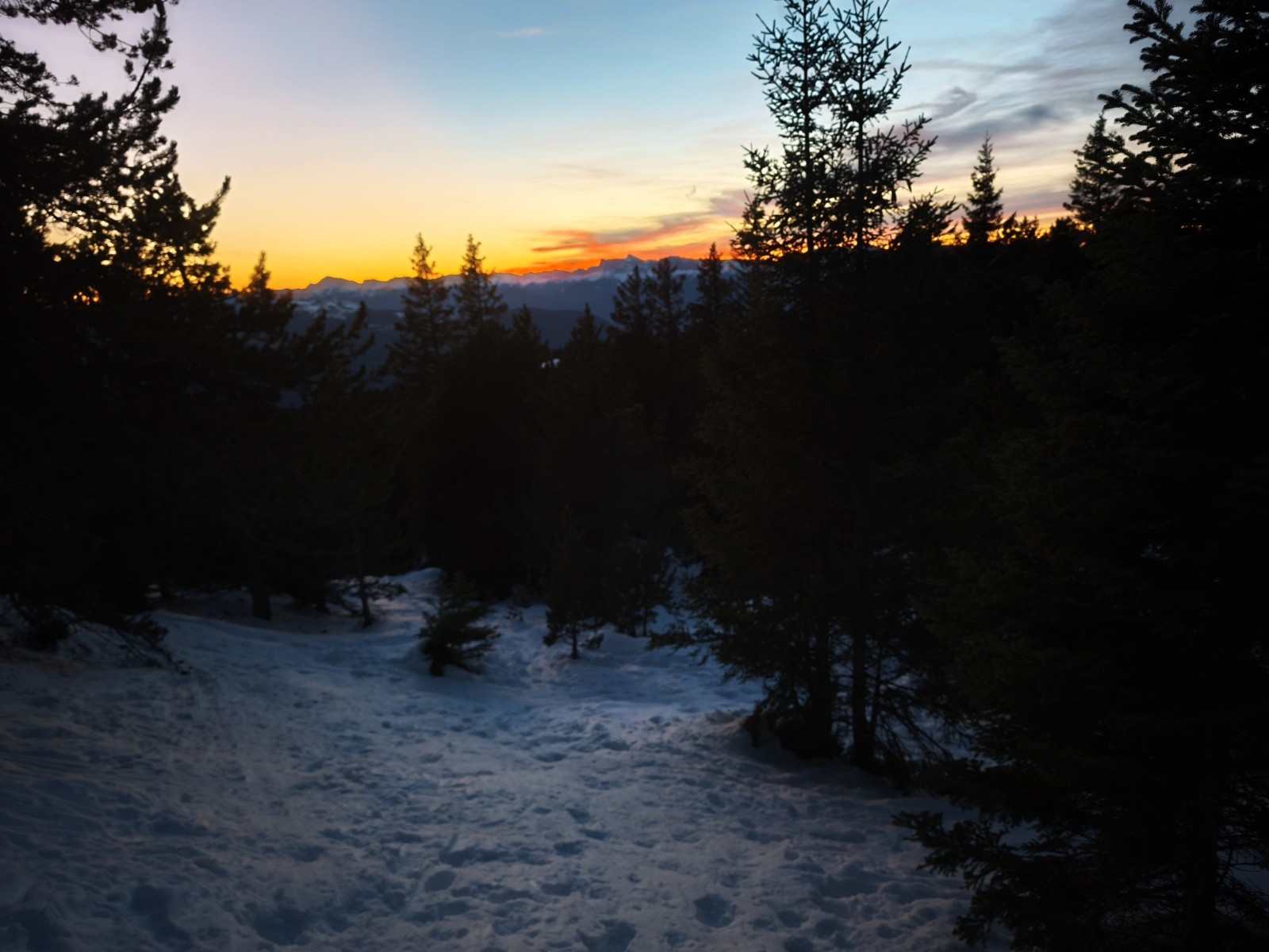  Sentier de rando, déjà un peu trop ravagé à mon gout et pas près de se reboucher :-/