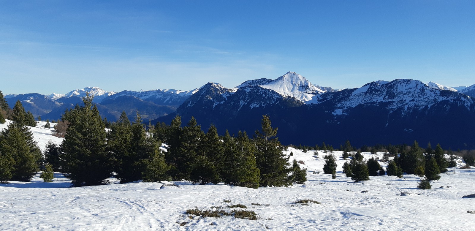 #2 Le colombier en toile de fond Le colombier en toile de fond