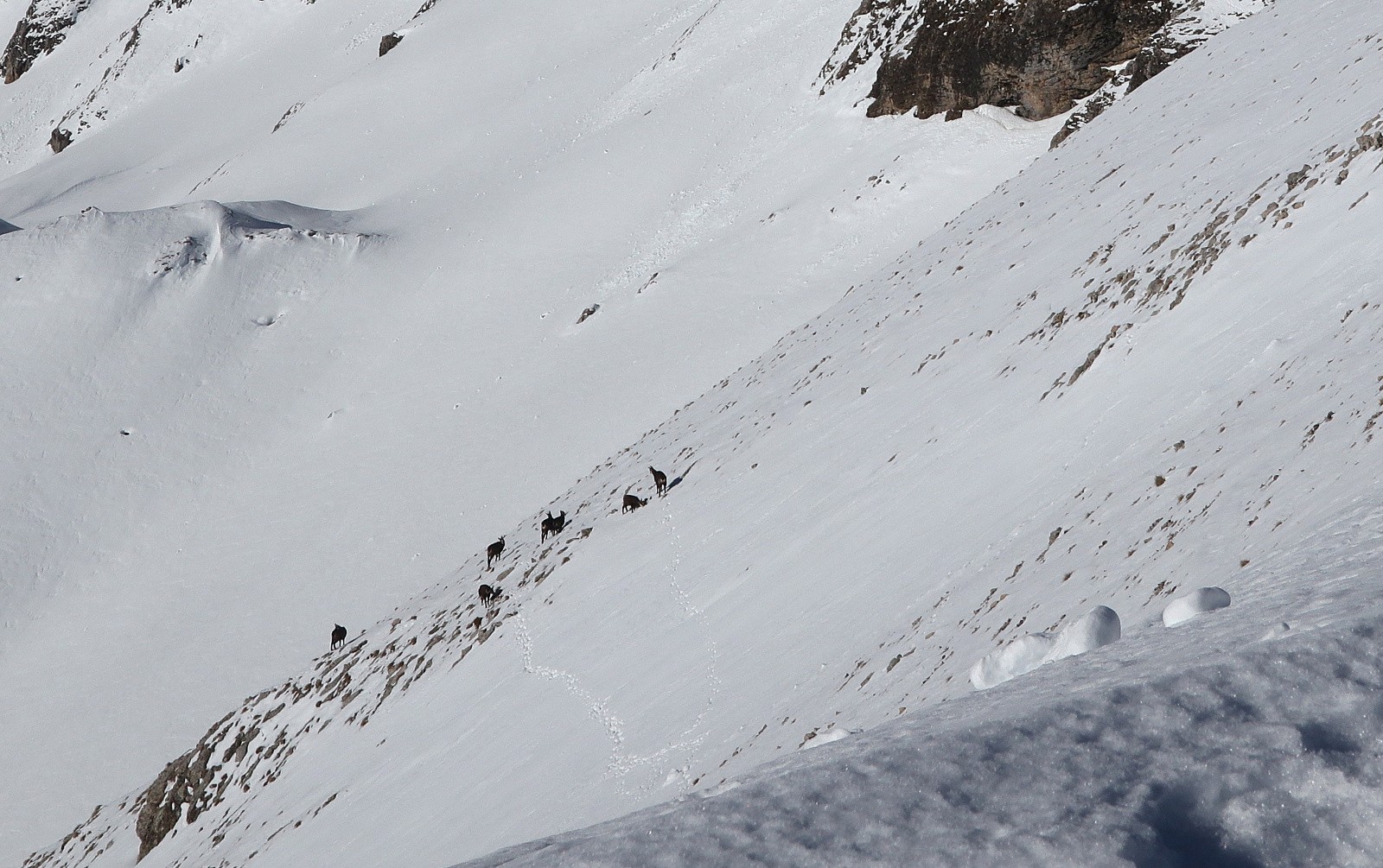 #8 Attroupement Attroupement