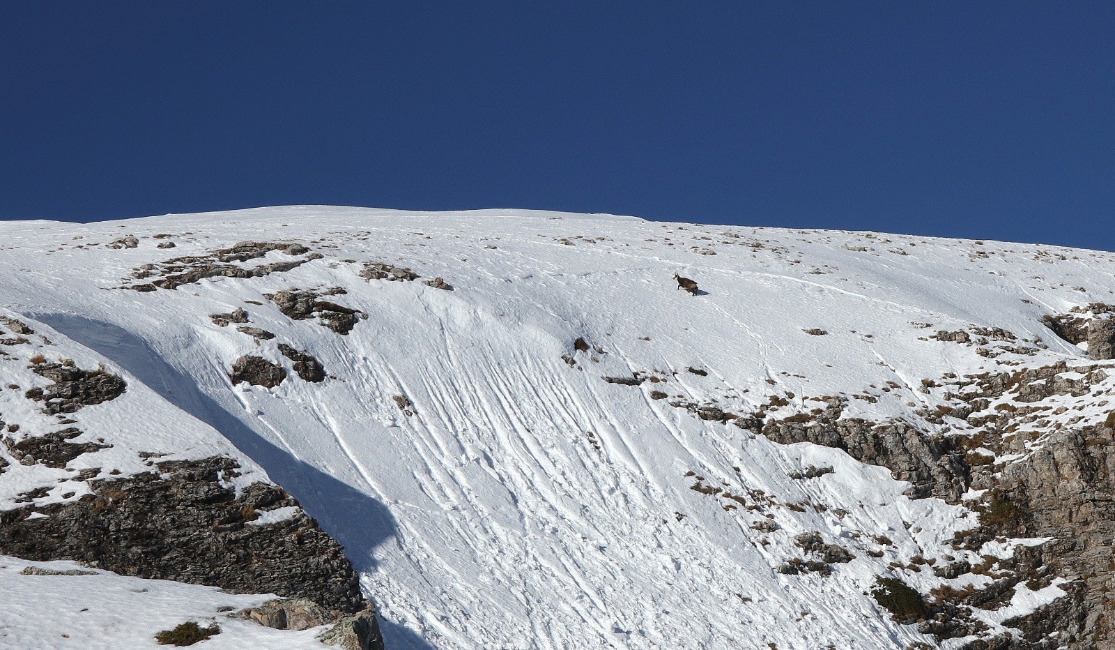 #5 Promeneur solitaire Promeneur solitaire