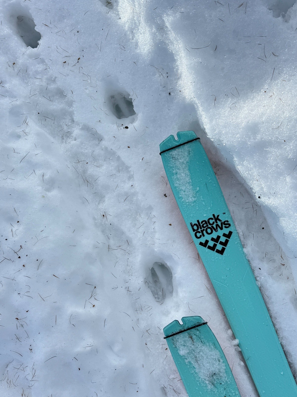 #10 Prédécesseur Prédécesseur