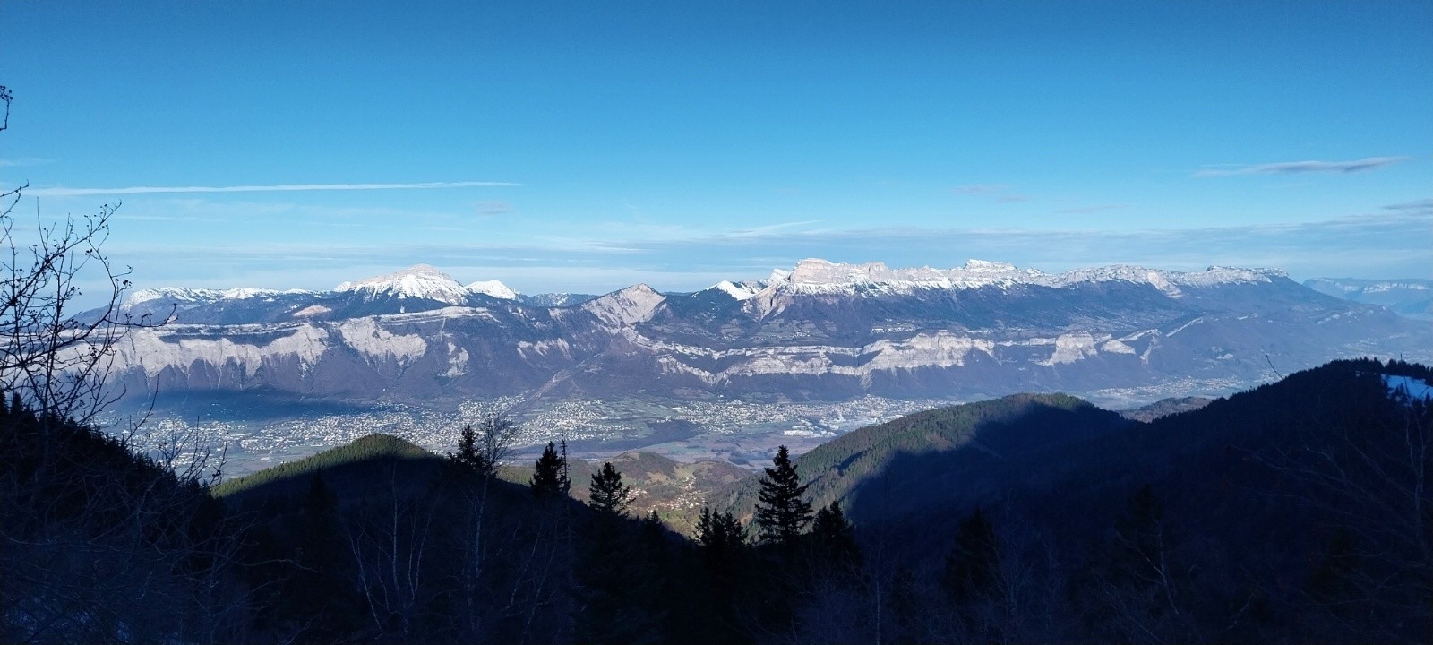 #1 Chartreuse Chartreuse