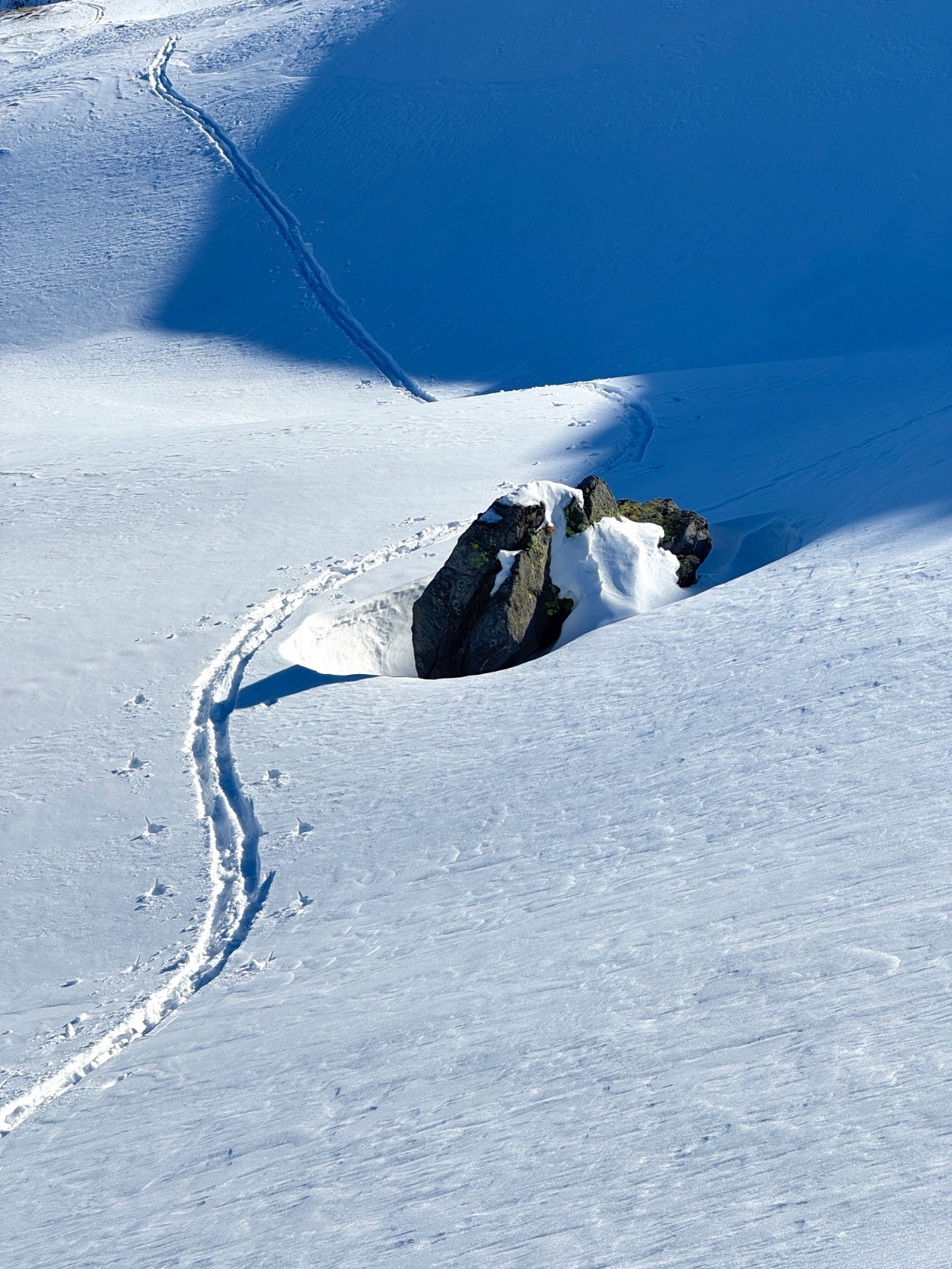 #8 Libre trace... Libre trace...