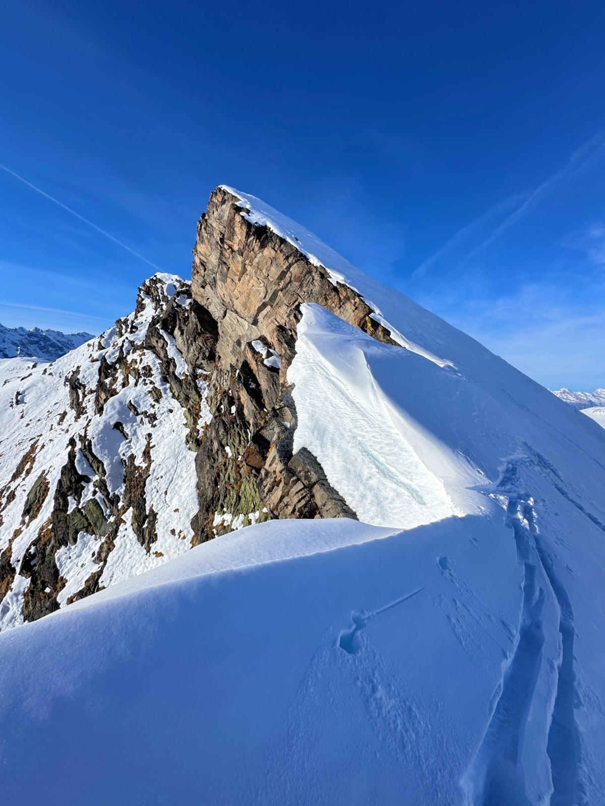 #10 Becca Colinta Becca Colinta