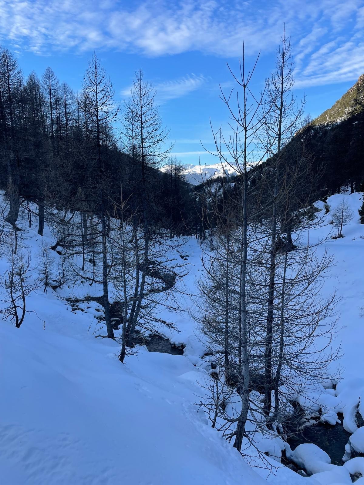 #1 Le long du torrent de Pra Reboul. Le long du torrent de Pra Reboul.