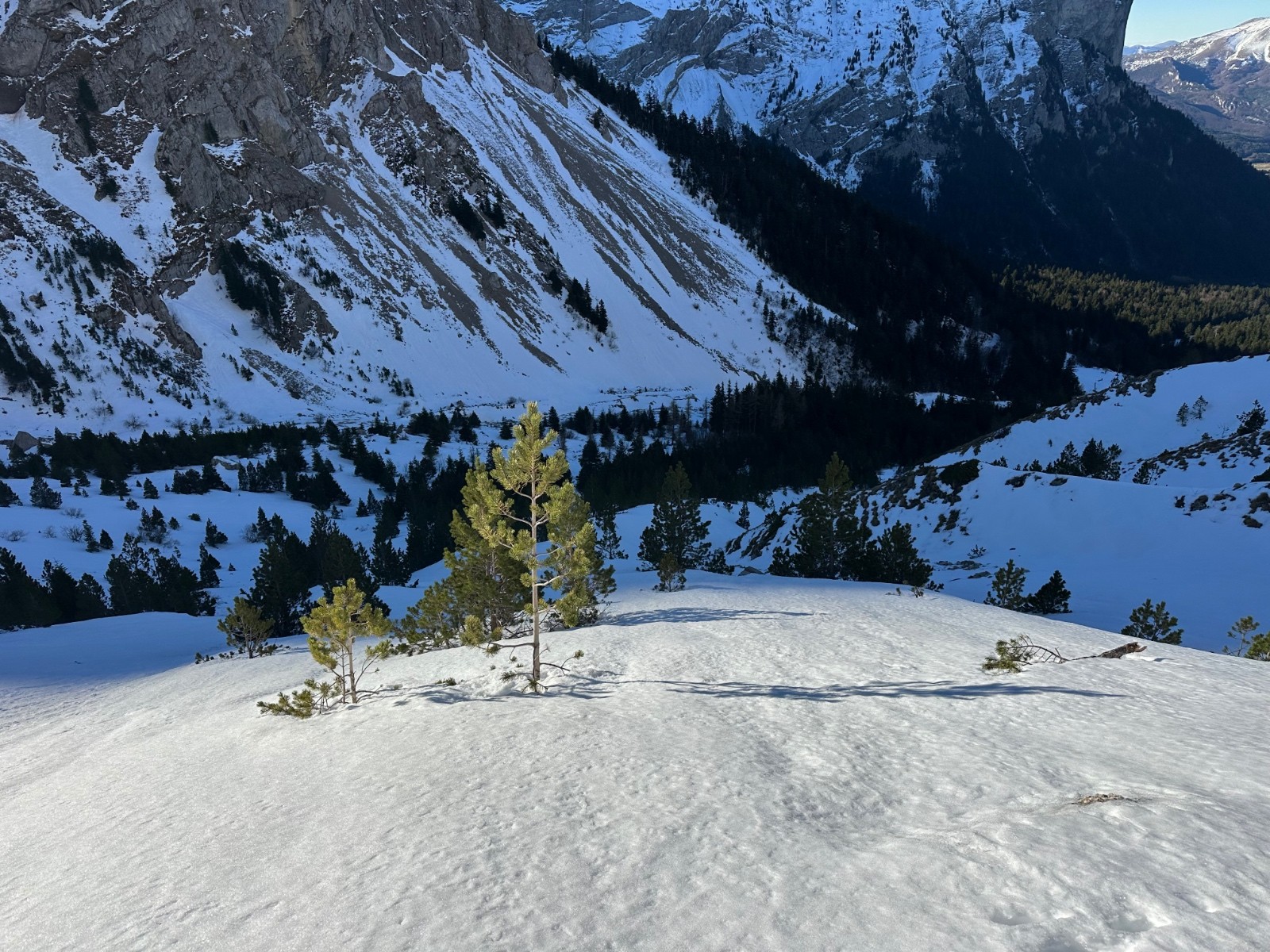 #5 La pente sous le Rang coupé et au fond, le vallon de La Jarjatte. La pente sous le Rang coupé et au fond, le vallon de La Jarjatte.