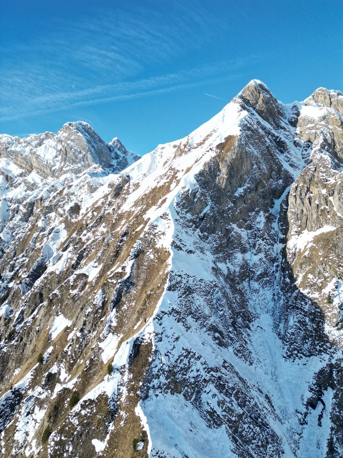 #12 La ligne La ligne