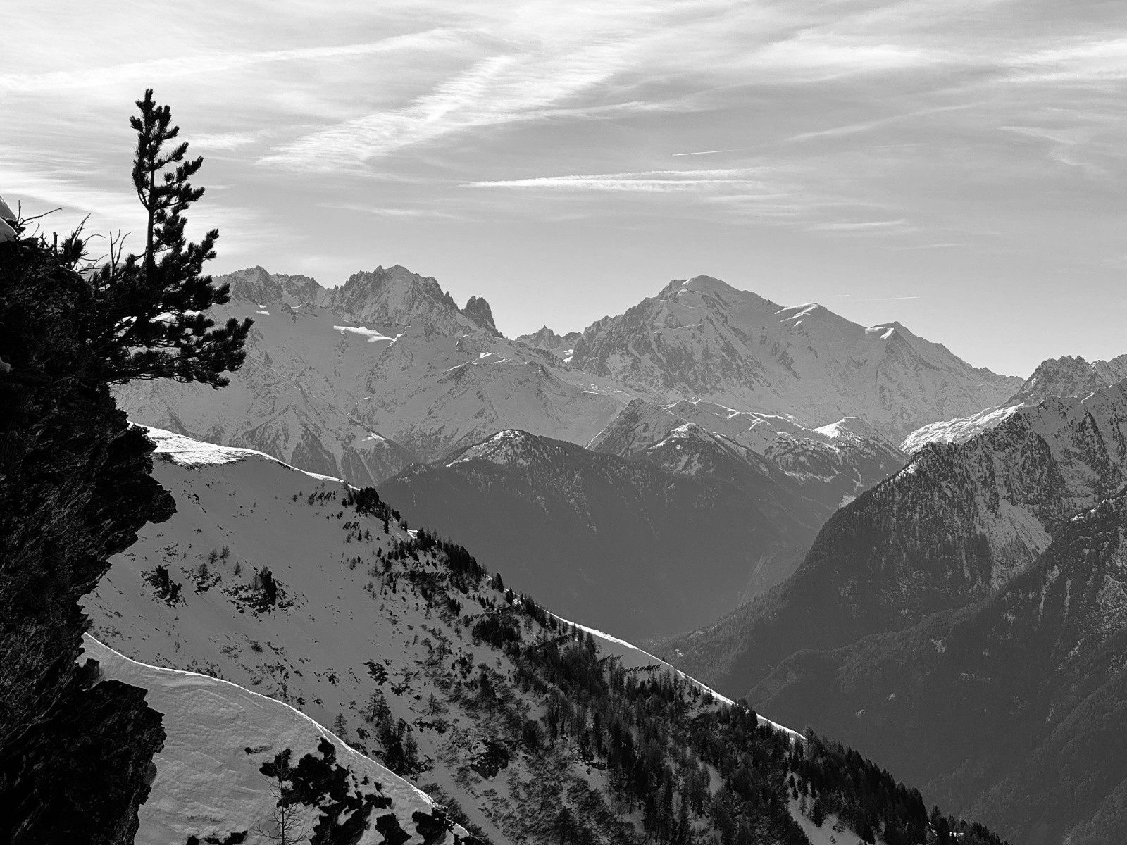 #9 La Verte et le Roi La Verte et le Roi