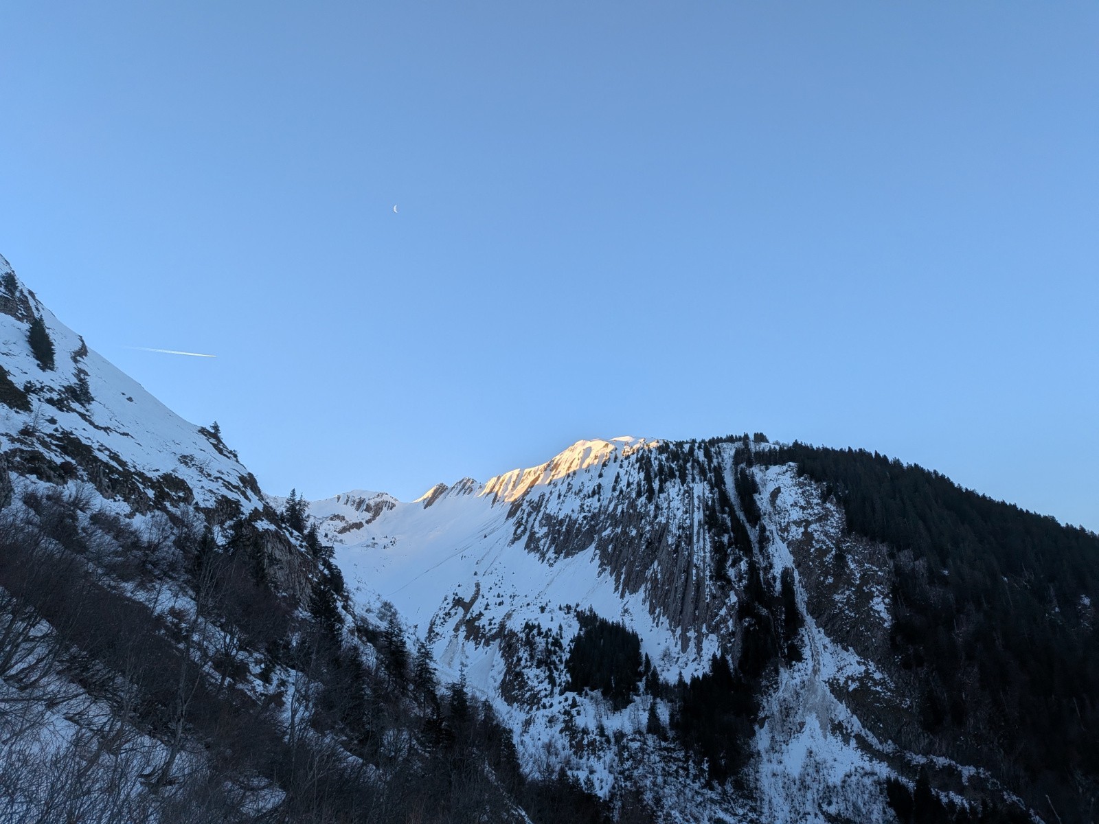 #3 Arlocots Arlocots