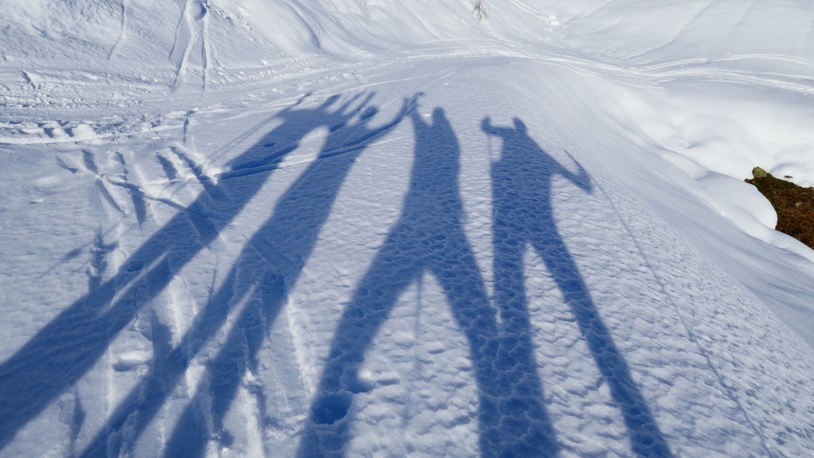 Une grande journée entre zinzins...