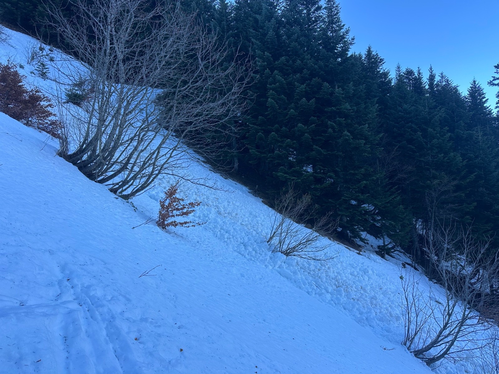 #1 La coulée dans le ressaut rive gauche ravin de la Plainie. La coulée dans le ressaut rive gauche ravin de la Plainie.