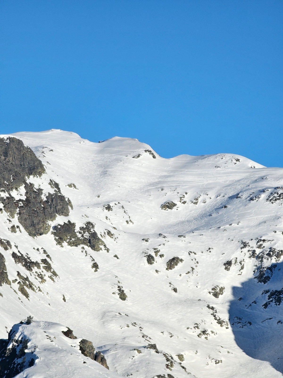 #5 Grand Van Grand Van