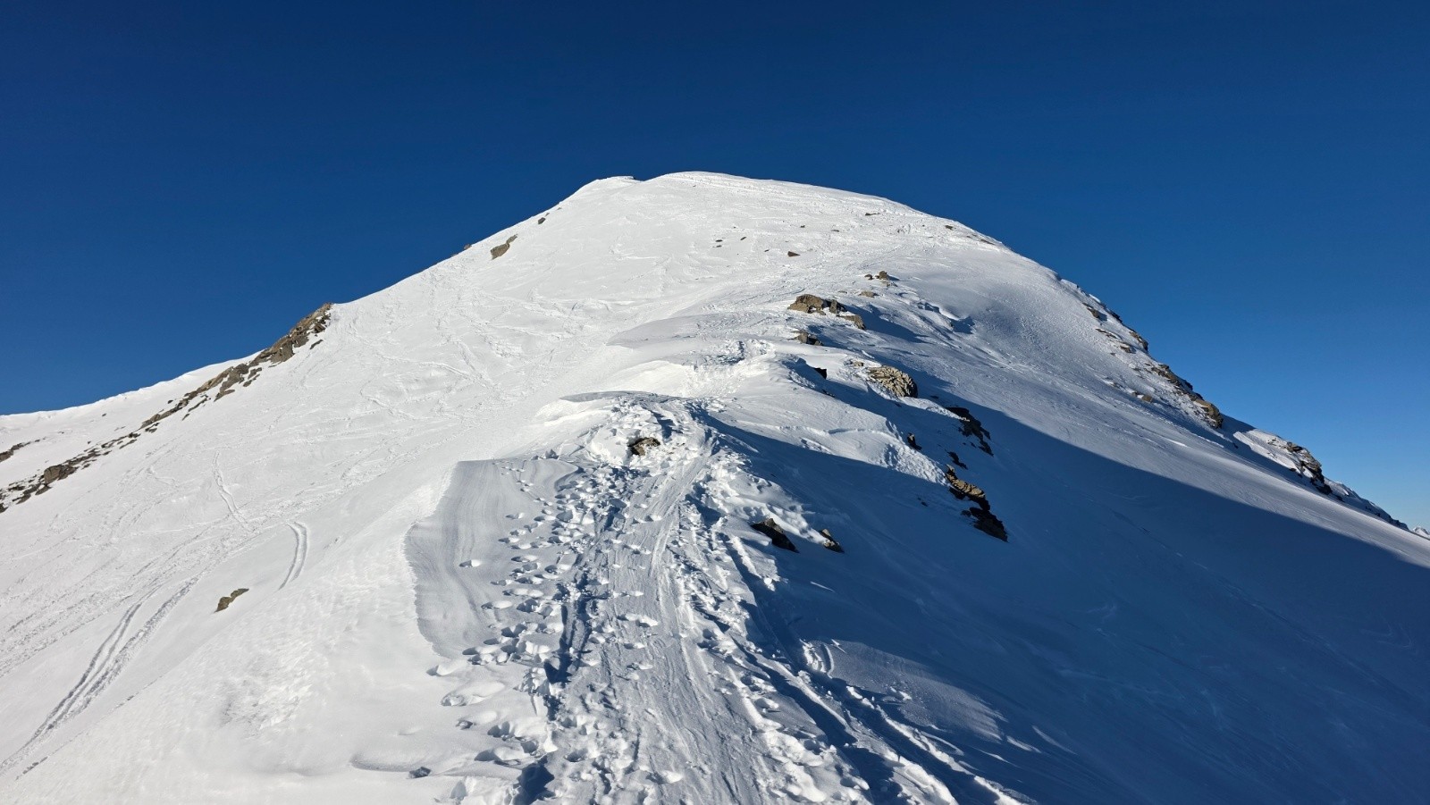 #12 Antécime Antécime