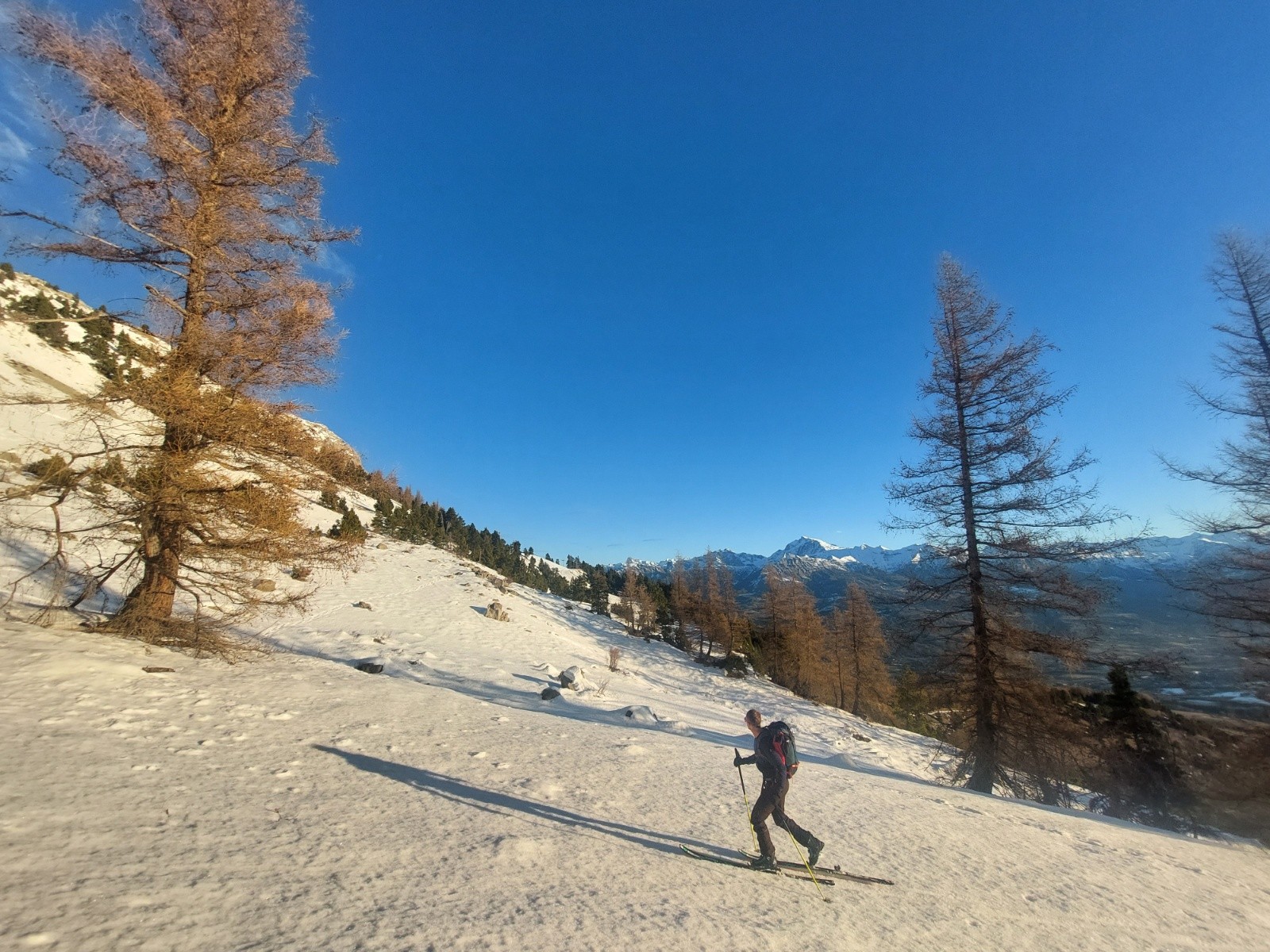 #2 la Moutty la Moutty