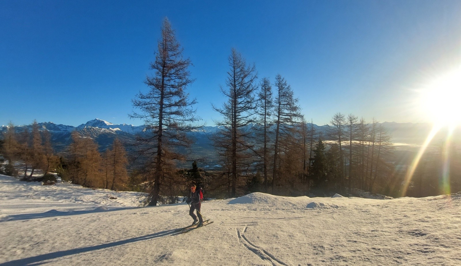 #1 sortie des arbres sortie des arbres