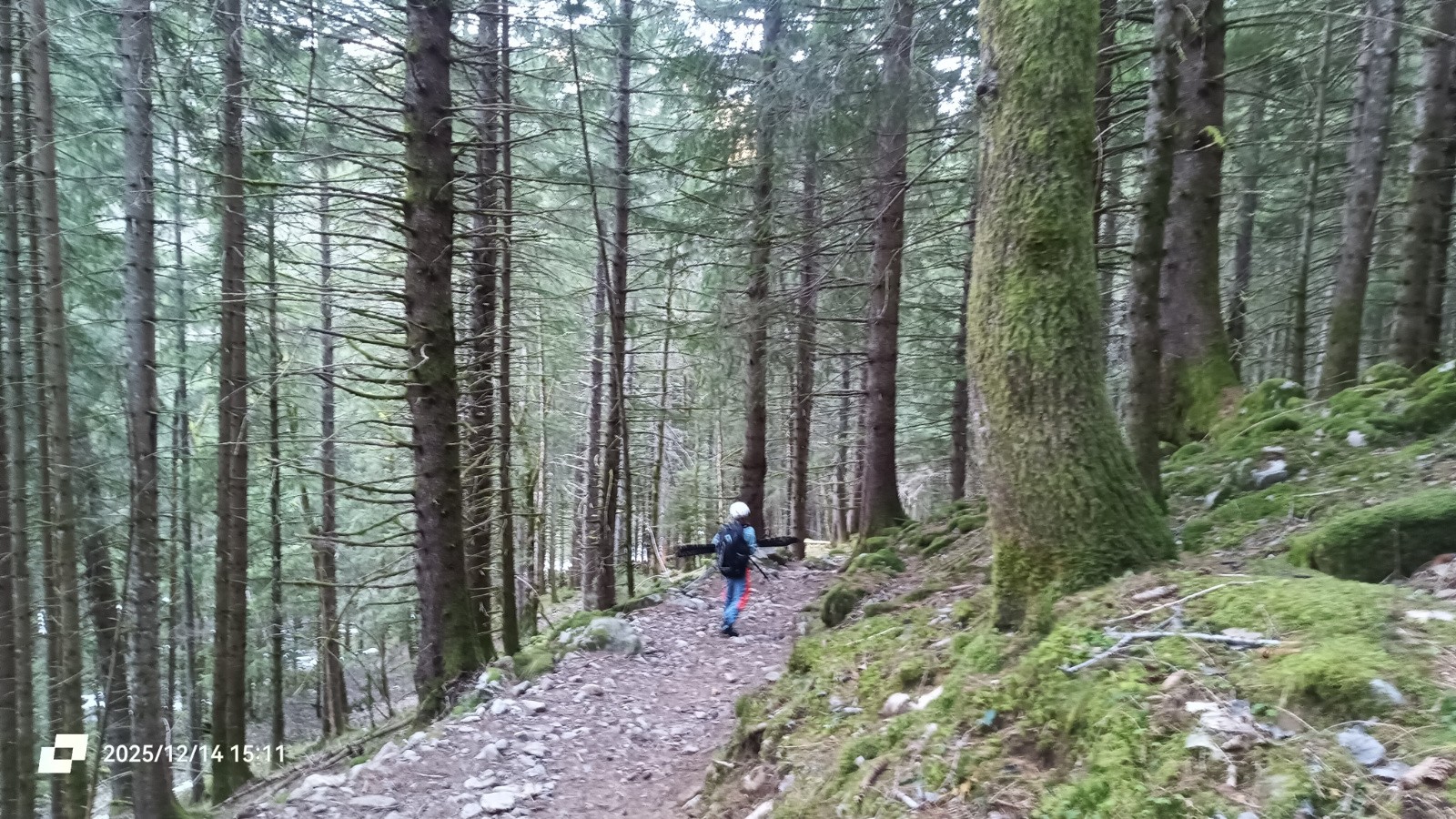 Sous 1300m d'un coup, plus de neige !&nbsp; 