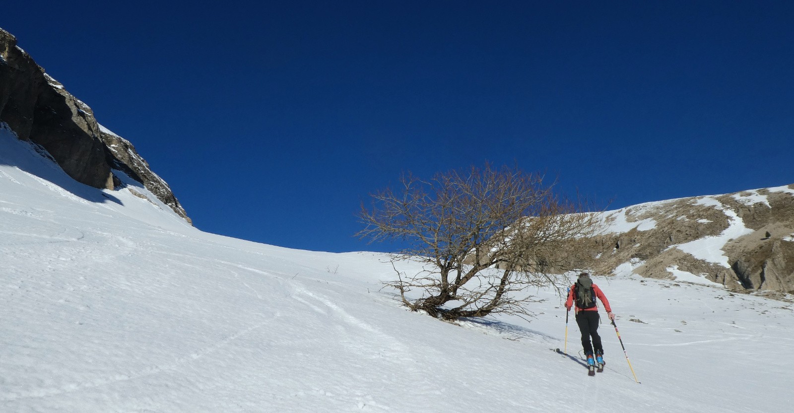 #2 L L'arbre des Narrites