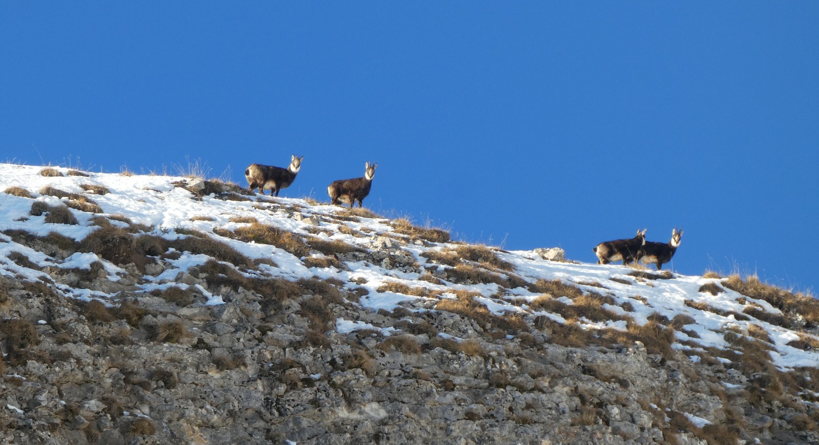 #3 Du monde au balcon Du monde au balcon
