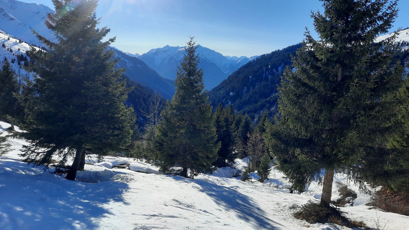 #11 C C'est damé, mais sans problème pour les semelles
