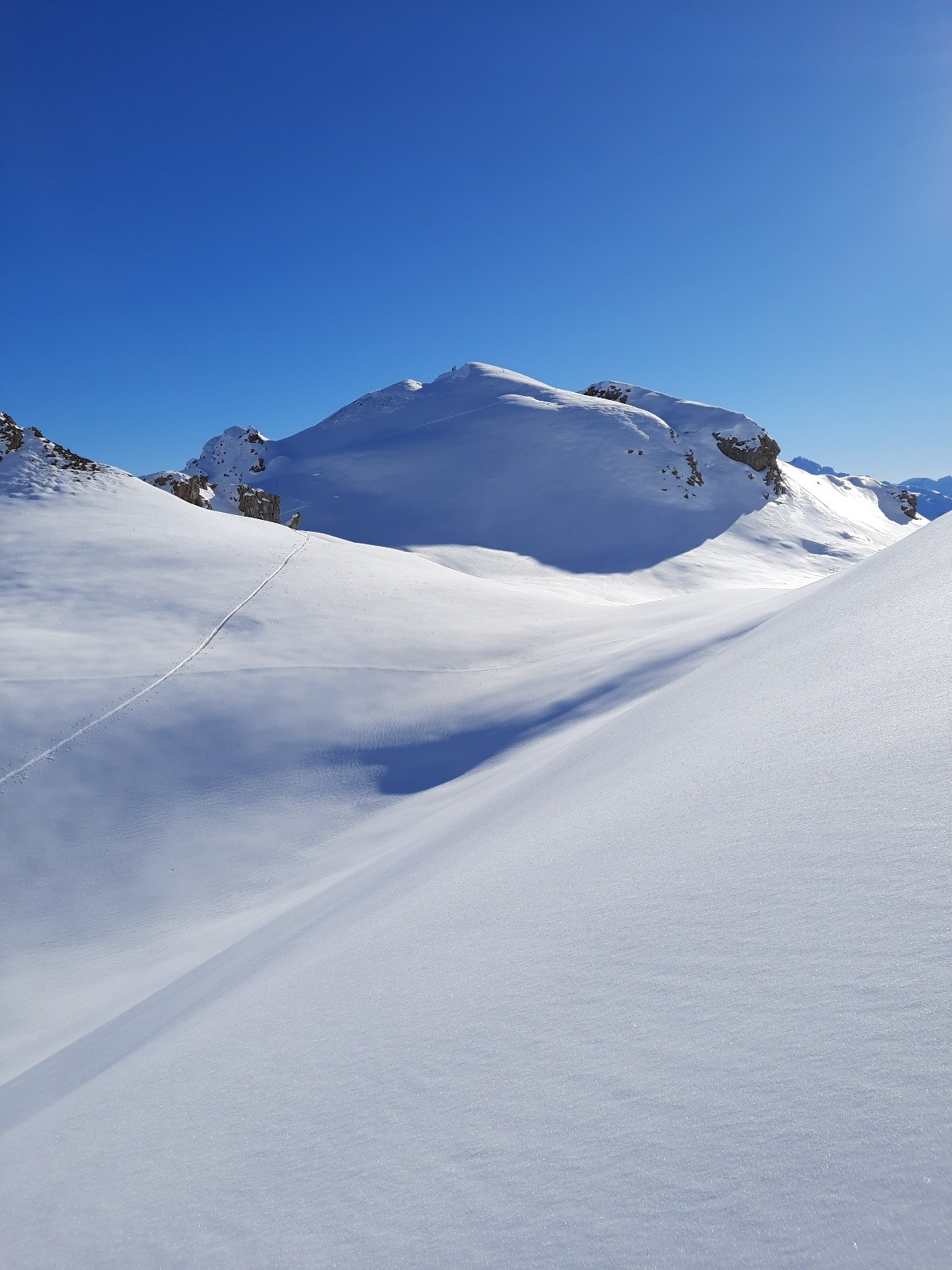 #9 Sommet de la Tête Sommet de la Tête