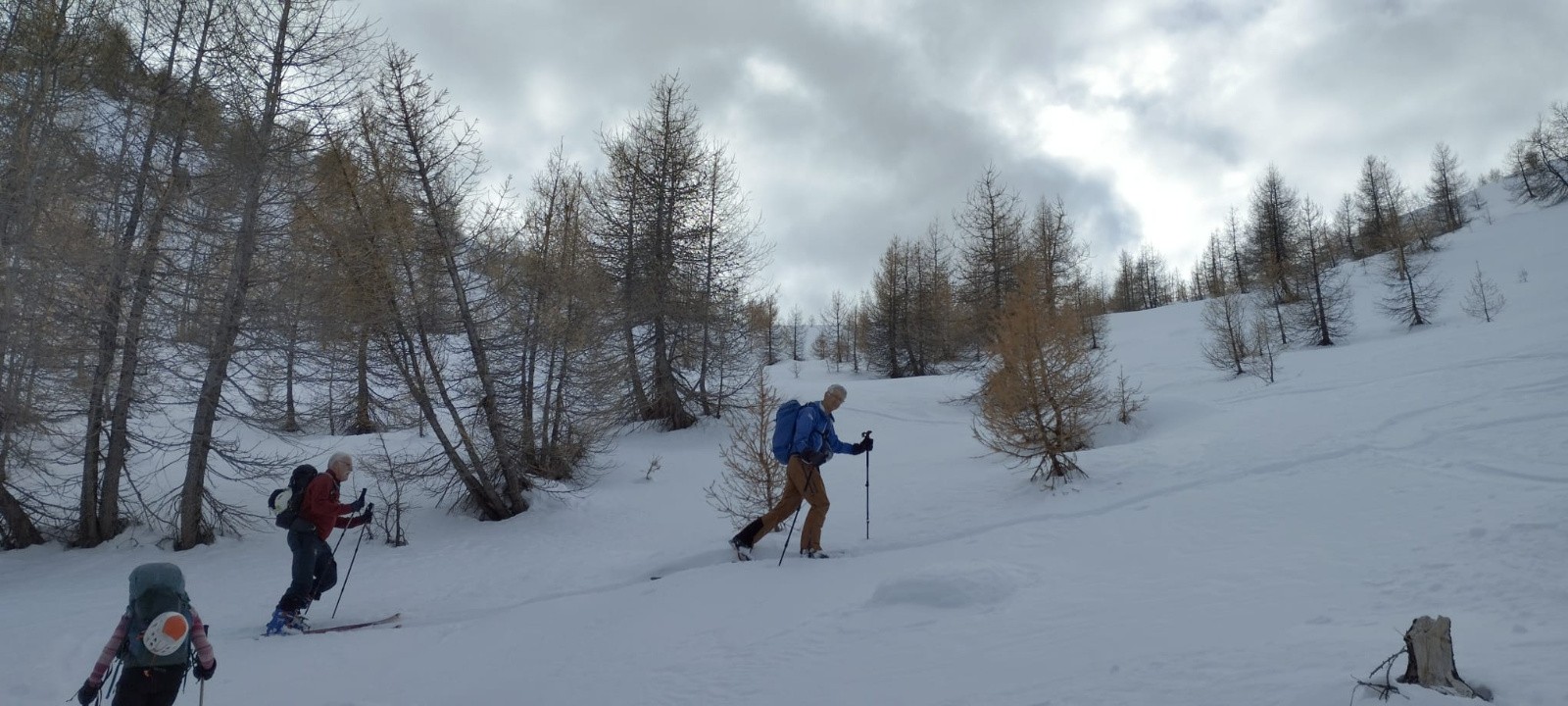 #2 Dans les dernières pentes sous le sommet. Dans les dernières pentes sous le sommet.
