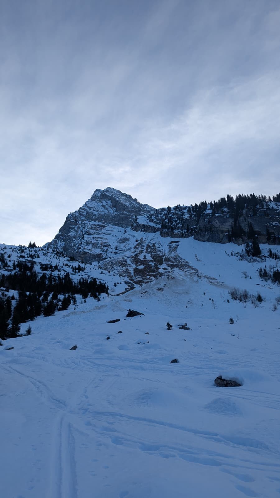 #1 Plaque de fond dans Paccaly Plaque de fond dans Paccaly