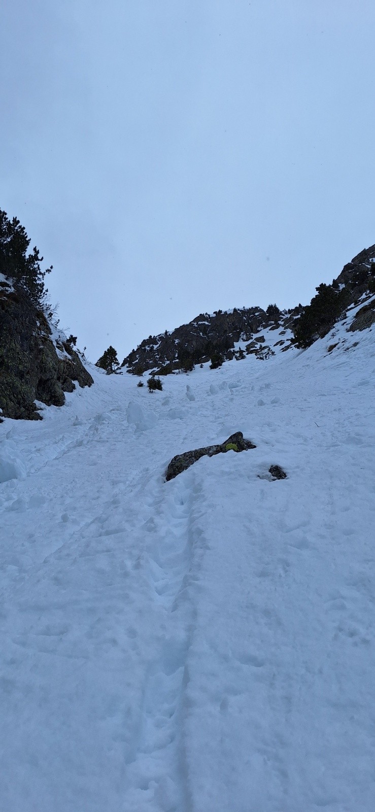 #5 E EULIER E EULIER