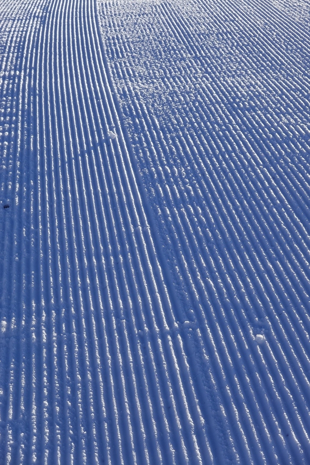 #8 Zénitude Zénitude