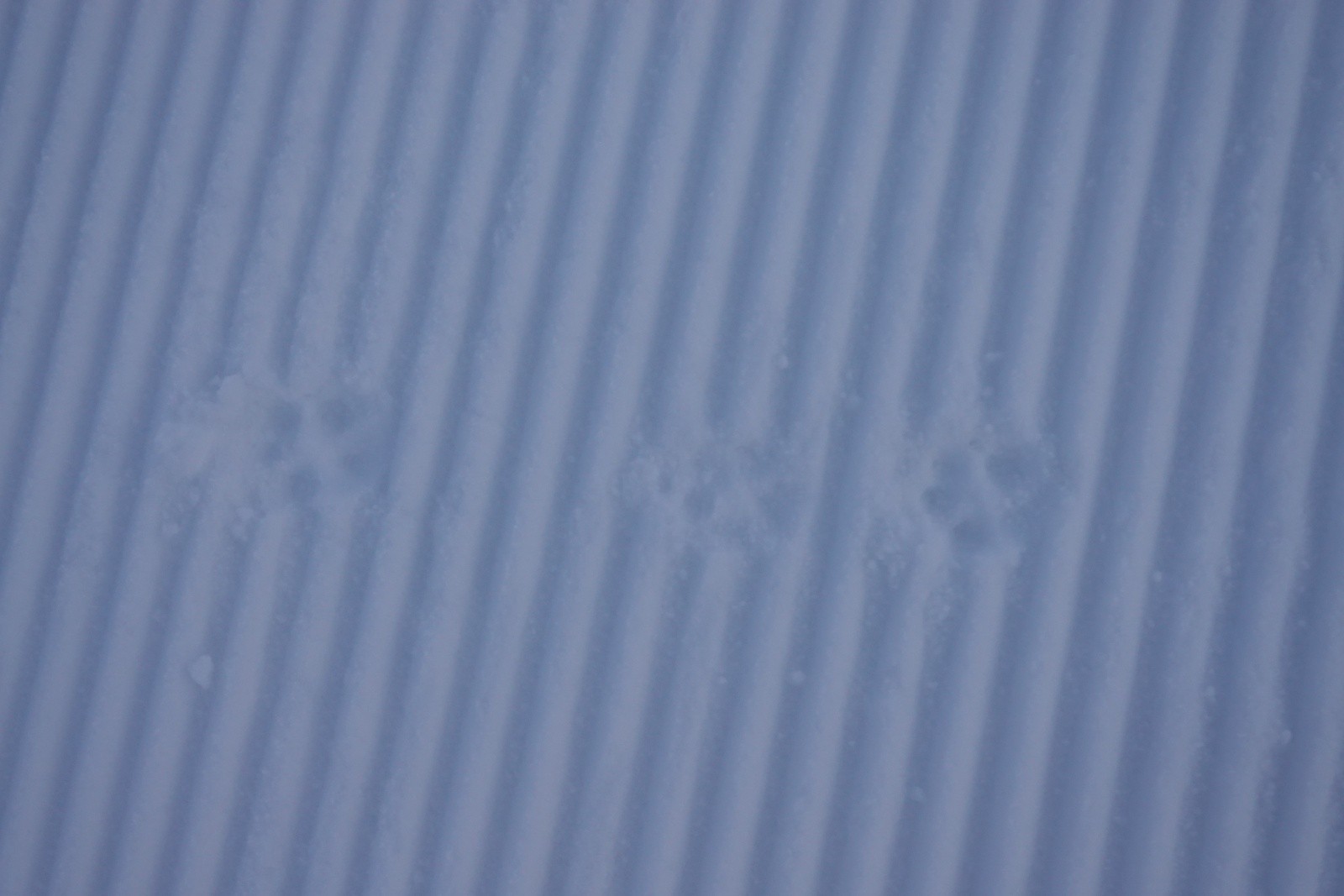 #3 Qui est l Qui est l'auteur de ces traces ?