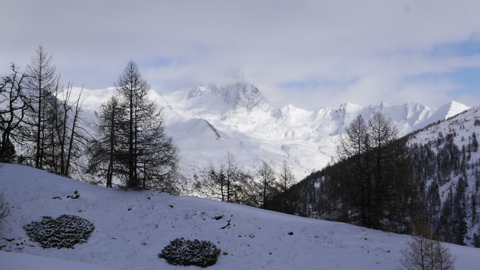 #4 Bric Bouchet. Bric Bouchet.