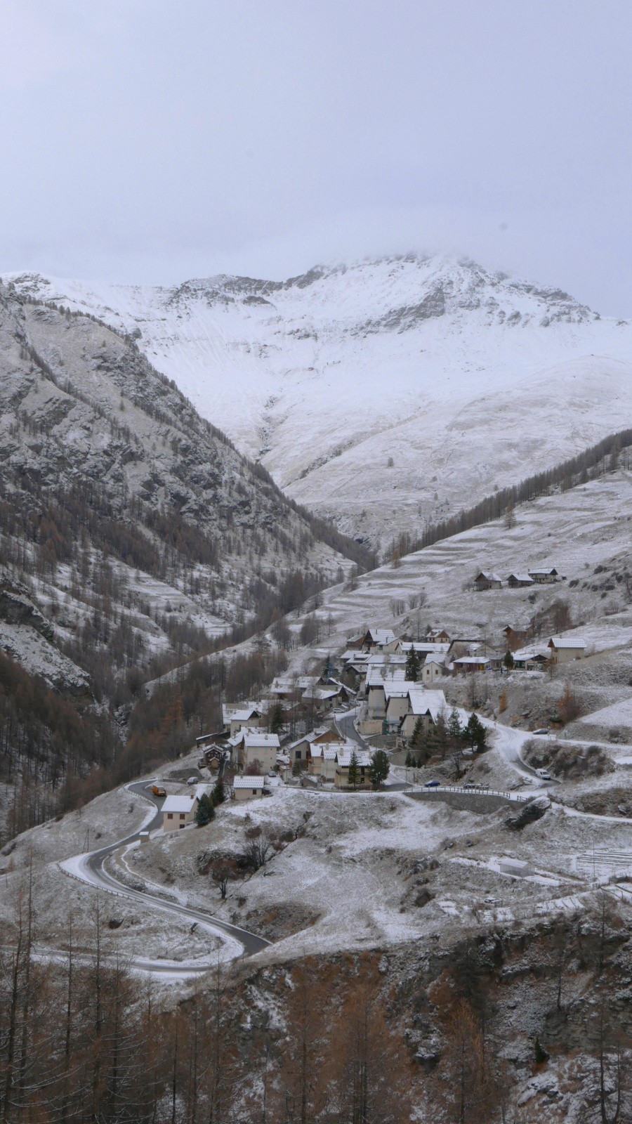 #1 Le Roux d Le Roux d'Abries à peine soupoudré de blanc.
