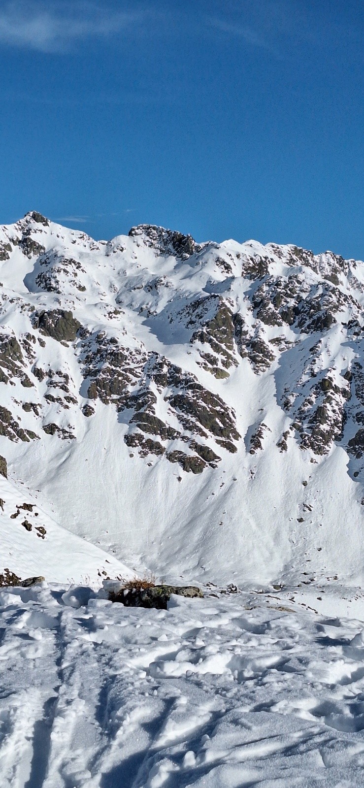 #14 SW DENT DU PRA SW DENT DU PRA