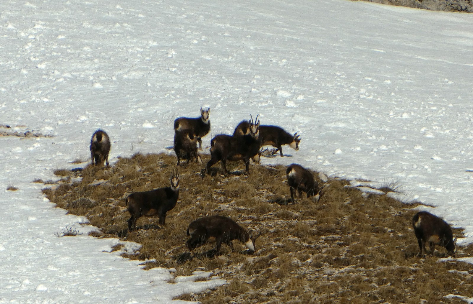 Regroupement (Photo Isa)