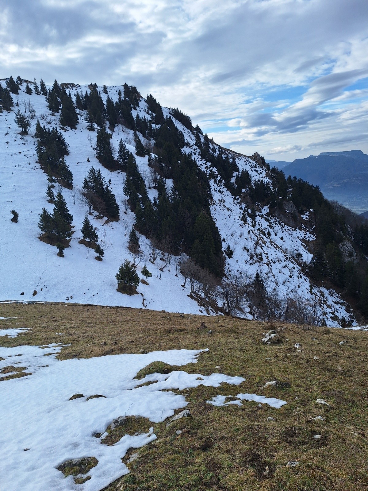 the north face&nbsp;