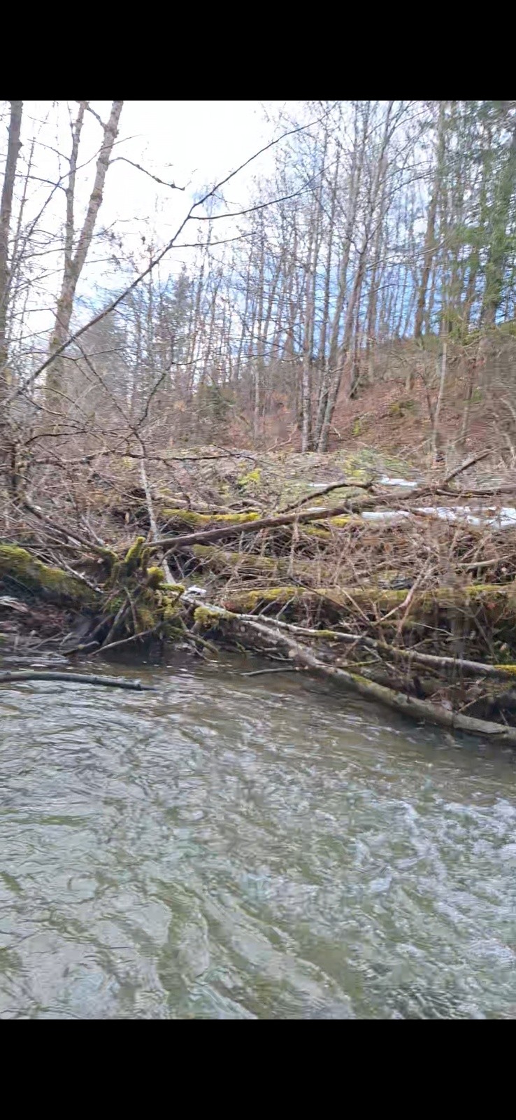 la Reysse, tonique !!&nbsp;