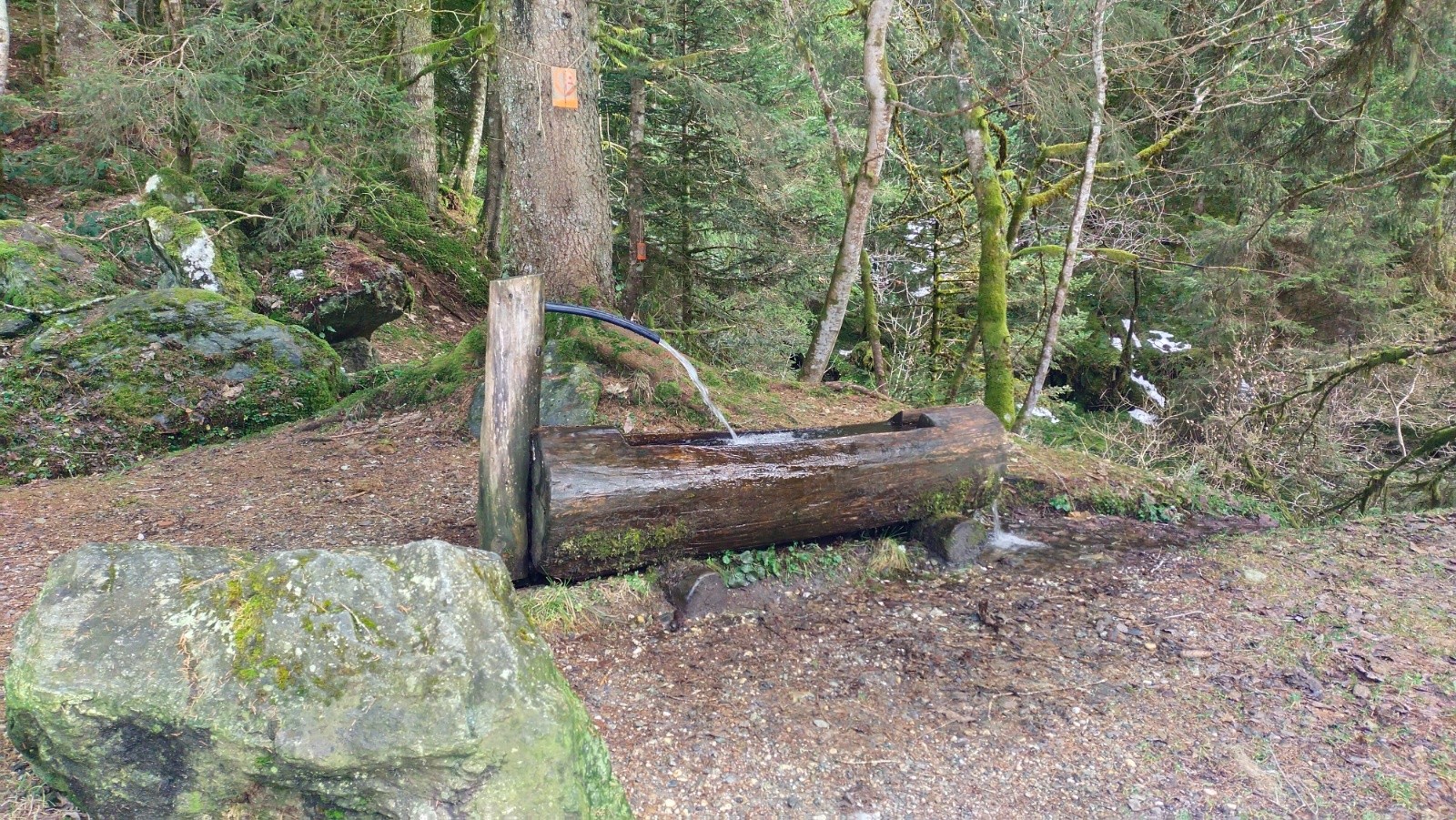 #17 On l On l'a connue plus glacée