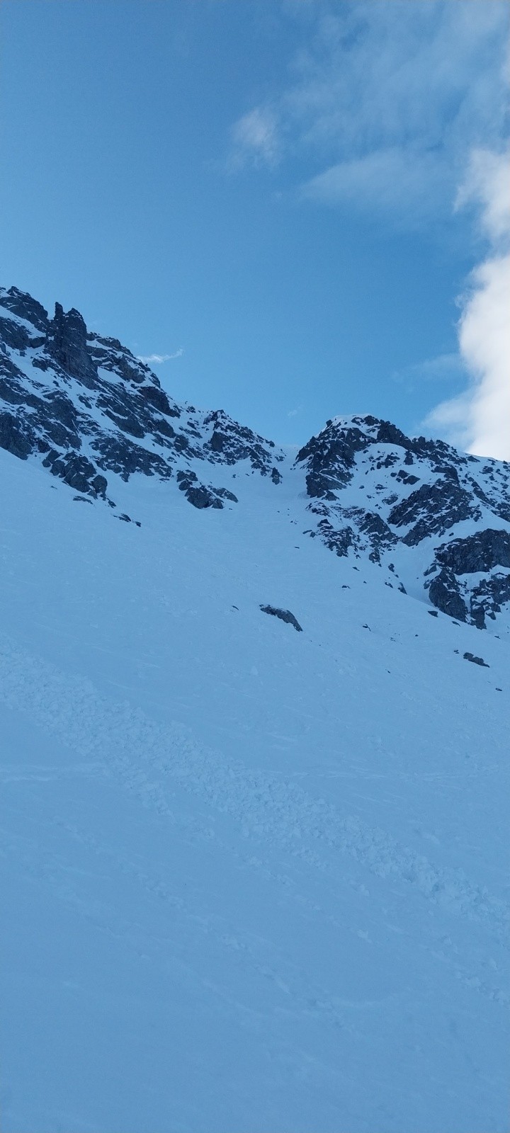 #5 Jas des lièvres NO Jas des lièvres NO