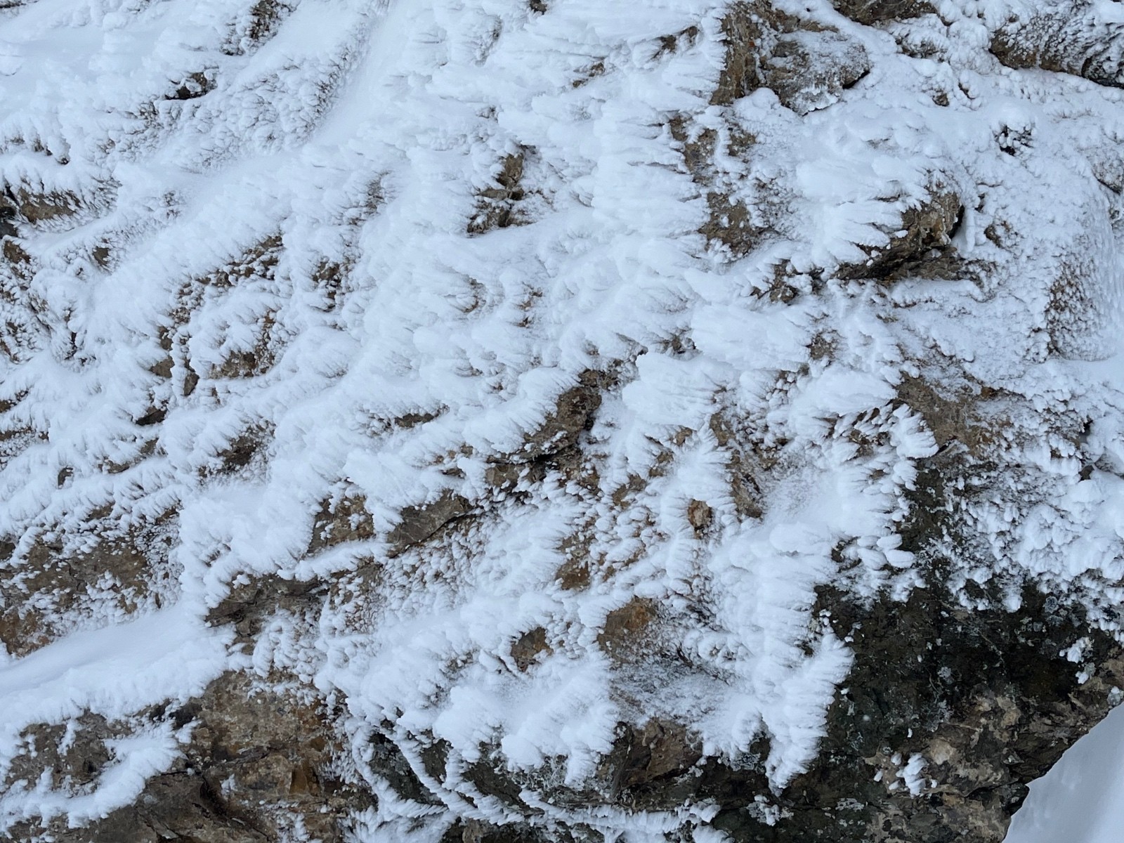 #14 J2: détails J2: détails