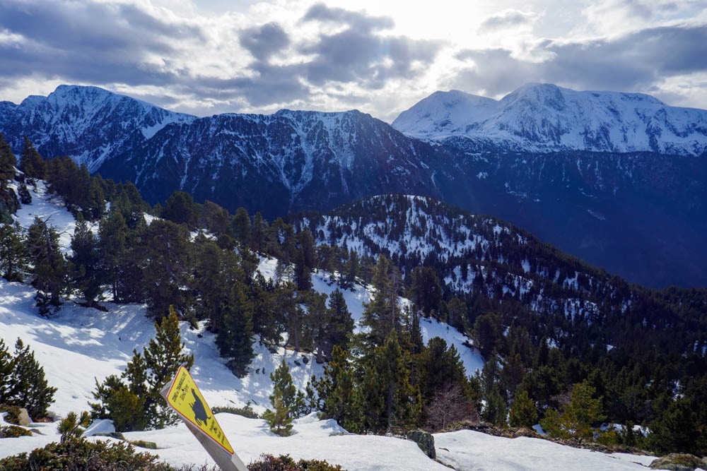 faut pas gener les animaux