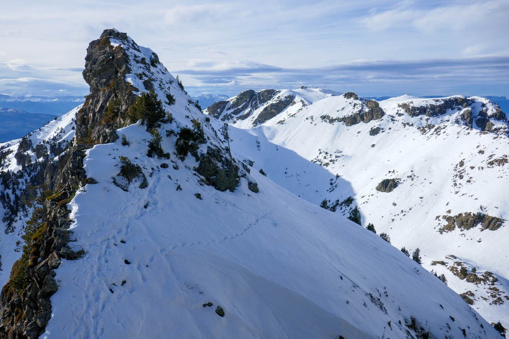 la variante en rive gauche