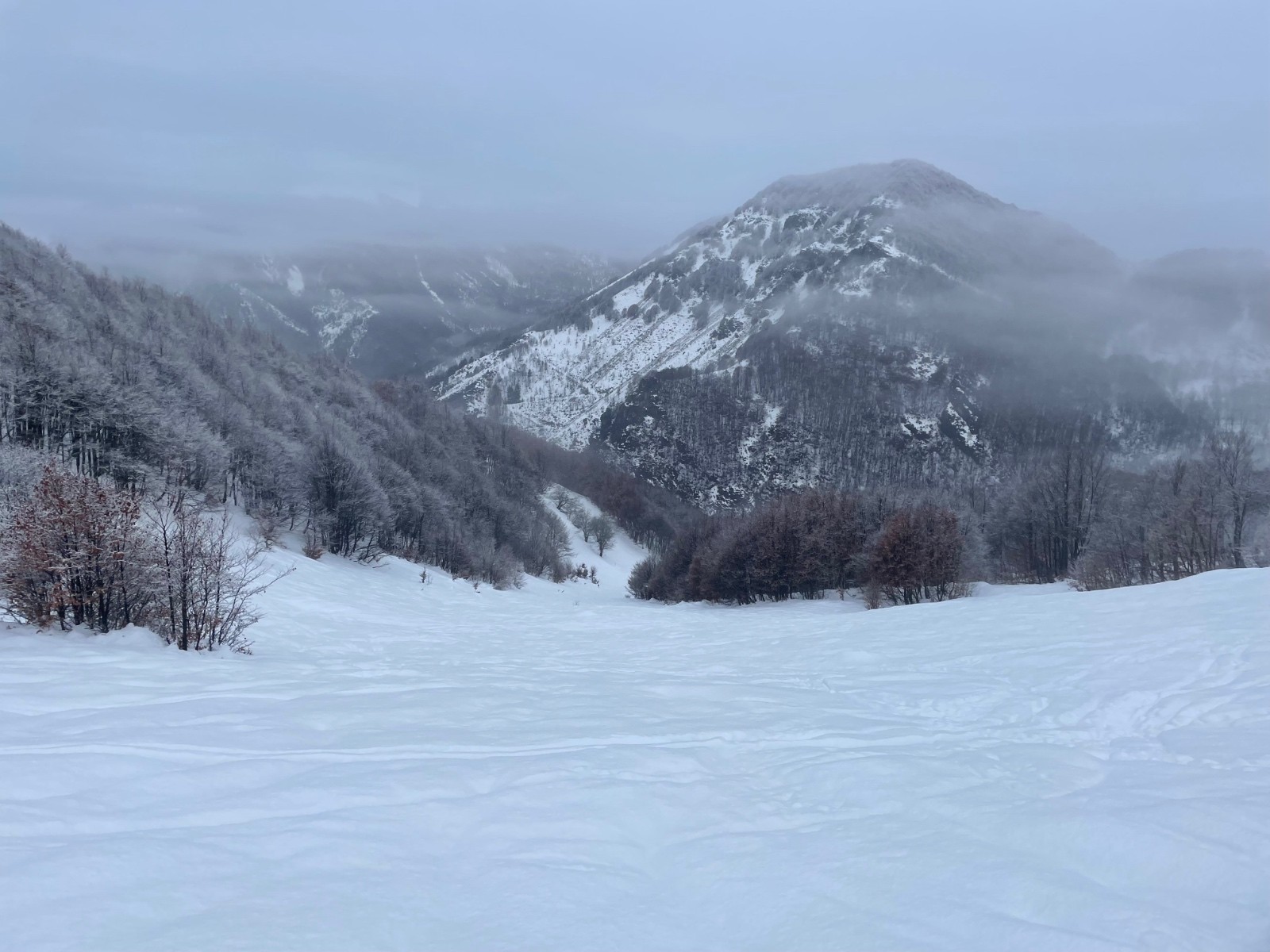 #2 Ancienne piste de ski. On y voit encore Ancienne piste de ski. On y voit encore