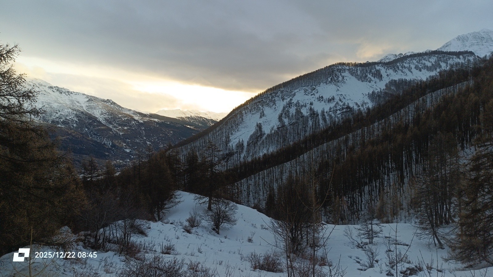 Soleil ou non ?&nbsp; 