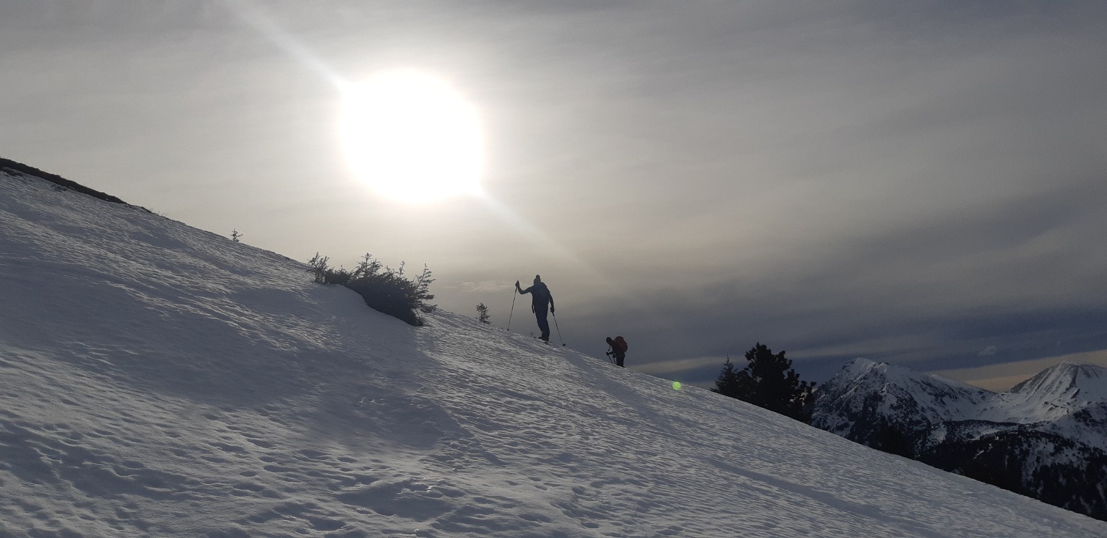 &nbsp;Sortie de la forêt