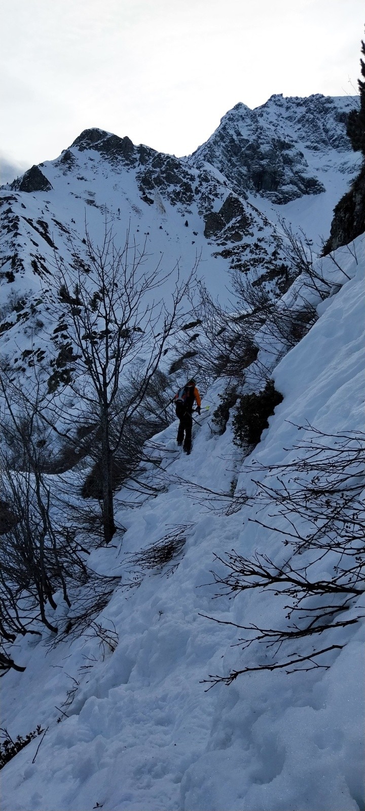 &nbsp;Dans les vernes